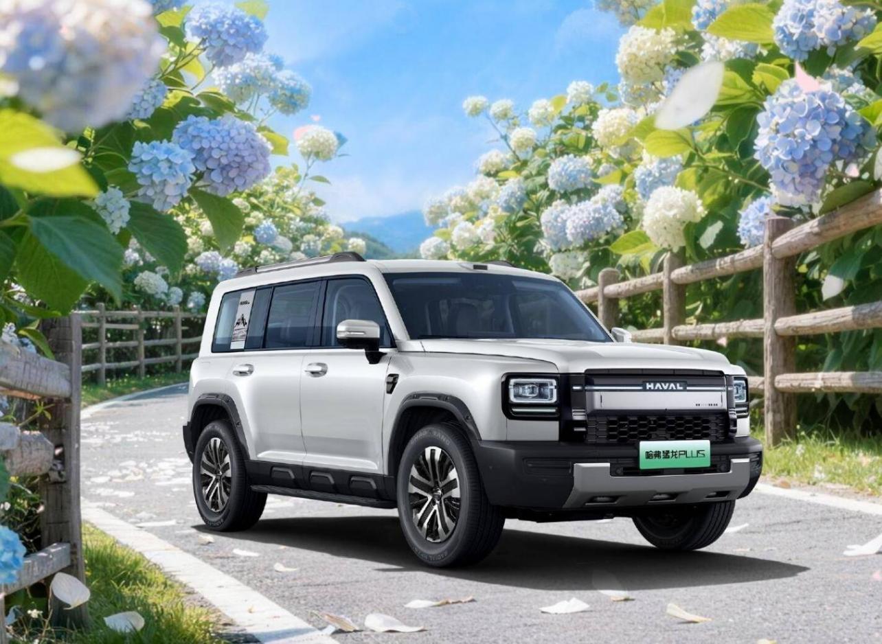 想买SUV的别急 5月还有5款重磅SUV新车来袭 方程豹豹8闪充版领衔